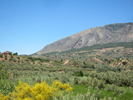 View Of Sierra Magina